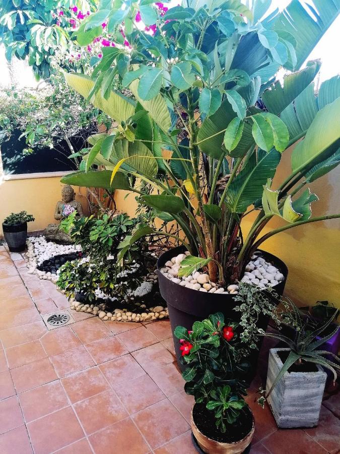 Vivienda Vacacional Vaiana Las Rosas  Екстер'єр фото